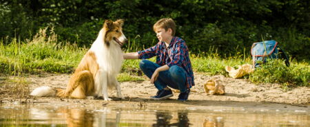 LASSIE – EINE ABENTEUERLICHE REISE