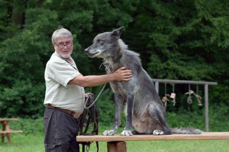 DIE RÜCKKEHR DER WÖLFE
