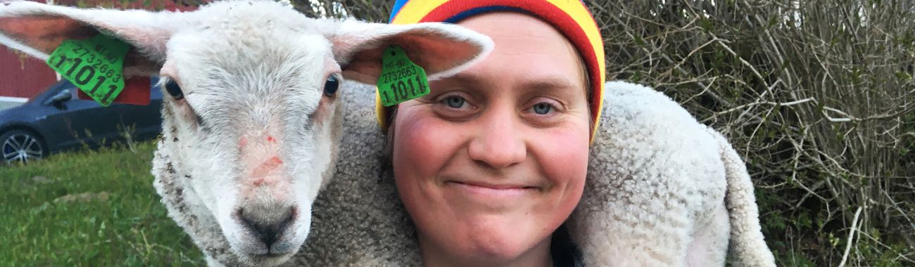 WOOLLY - SCHAF DIR DAS GLÜCK