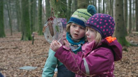 VON KINDERN UND BÄUMEN