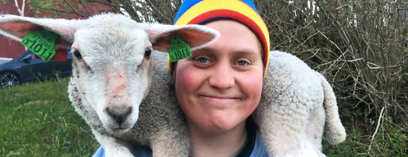 WOOLLY - SCHAF DIR DAS GLÜCK