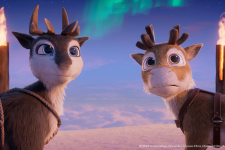 NIKO – REISE ZU DEN POLARLICHTERN