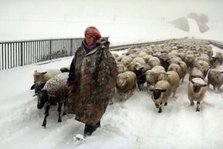 HIVER NOMADE