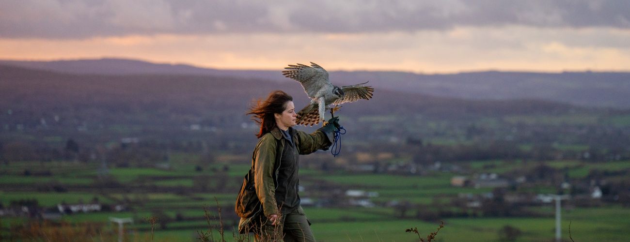 H IS FOR HAWK