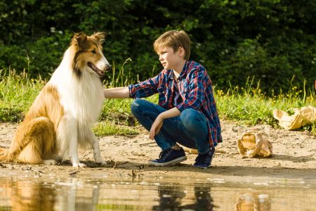 LASSIE – EINE ABENTEUERLICHE REISE