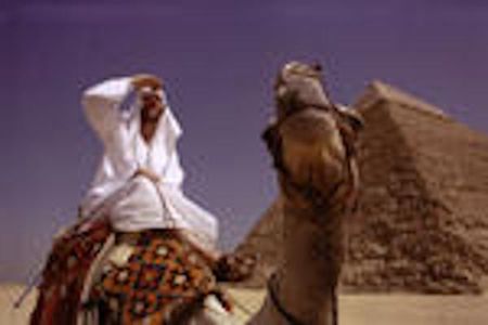 WHERE IN THE WORLD IS OSAMA BIN LADEN?