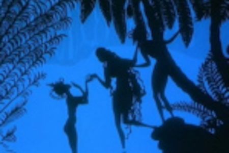 DIE ABENTEUER DES PRINZEN ACHMED