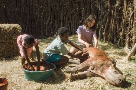 THABO, DAS NASHORN-ABENTEUER