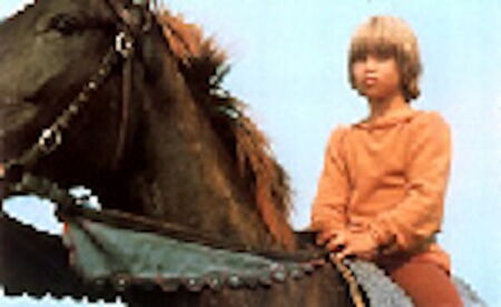 DIE BRÜDER LÖWENHERZ