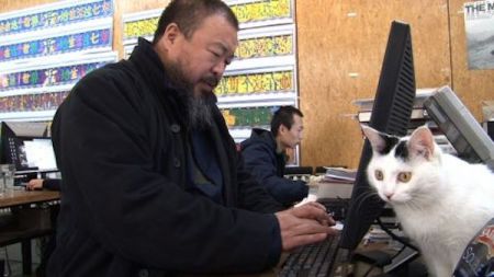 AI WEIWEI: NEVER SORRY