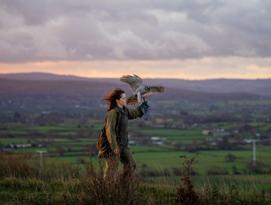 H IS FOR HAWK
