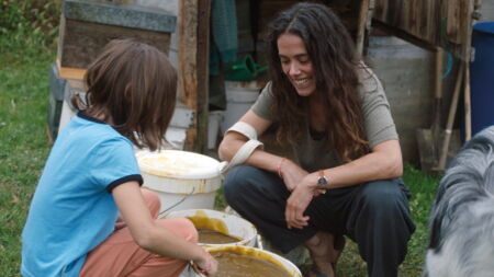 20000 ESPECIES DE ABEJAS