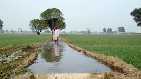 BITTERE ERNTE - LES DESPOSSEDES