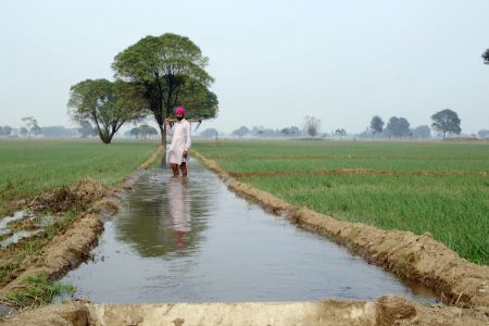 BITTERE ERNTE - LES DESPOSSEDES