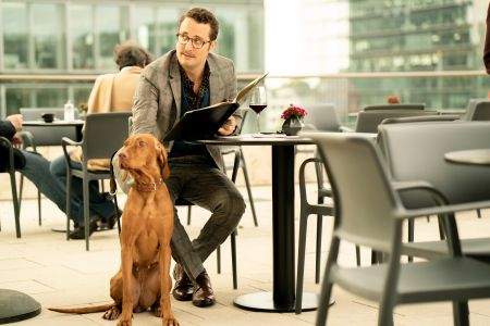 WUFF - FOLGE DEM HUND