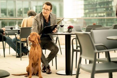 WUFF - FOLGE DEM HUND