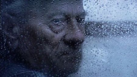 THE SOUND OF INSECTS