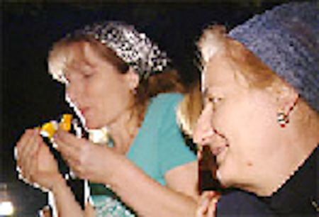 COCA: DIE TAUBE AUS TSCHETSCHENIEN