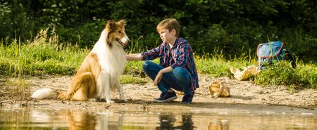LASSIE – EINE ABENTEUERLICHE REISE