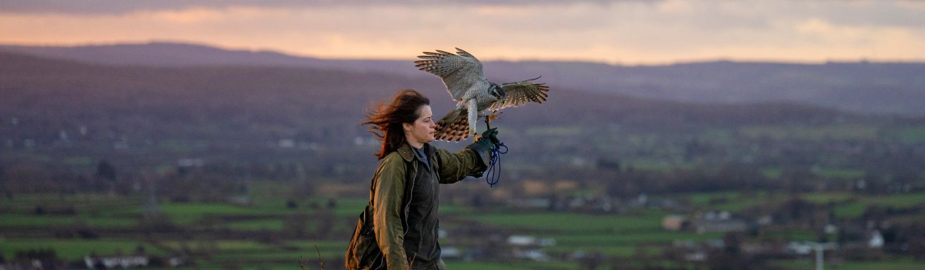 H IS FOR HAWK