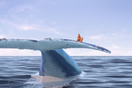 DIE SCHNECKE UND DER BUCKELWAL